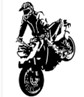 Avatar člena